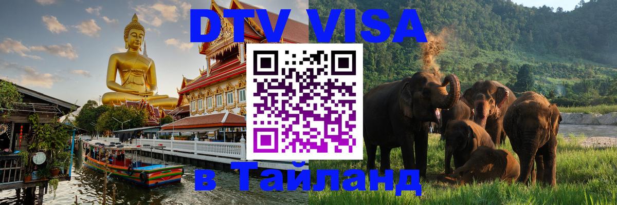 Оформление DTV визы под ключ: стоимость и тарифы, только загранпаспорт - 
